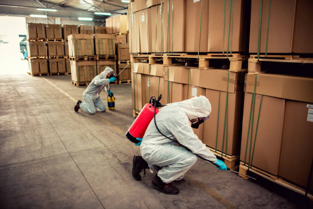 Best Best Pest Control Companies  in Romoland, CA