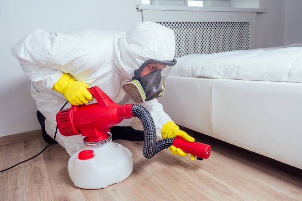 Best Commercial Pest Control Services  in Romoland, CA