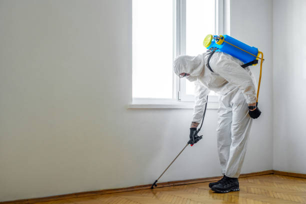 Best Best Pest Control Companies  in Romoland, CA