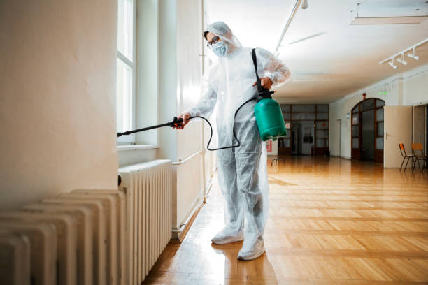 Best Cockroach Control Services  in Romoland, CA