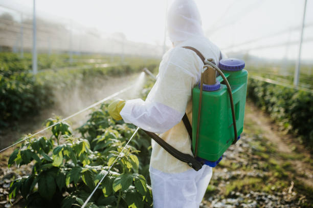  Romoland, CA Pest Control Pros